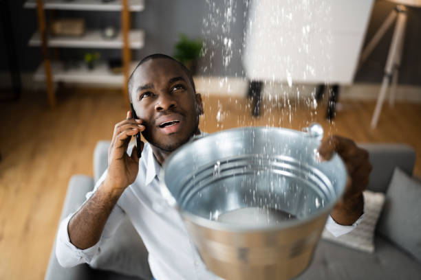 Best Local water damage restoration  in San Pablo, NM