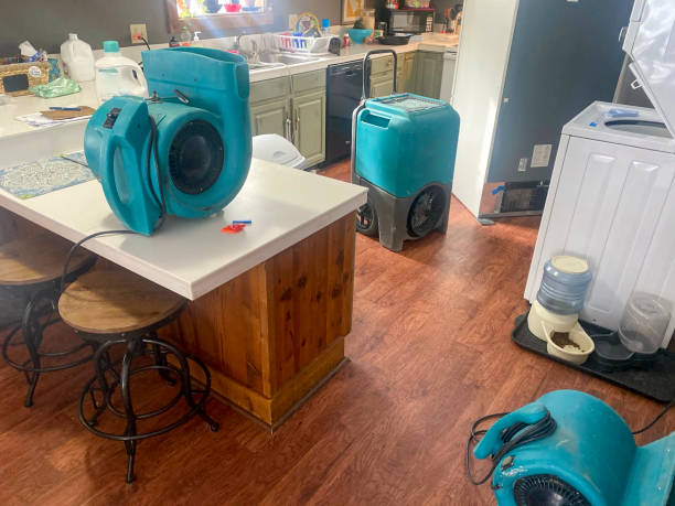 Best 24-hour water damage restoration  in San Pablo, NM
