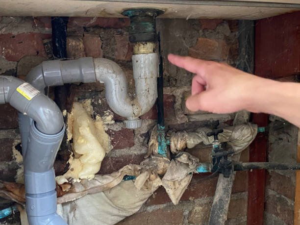 Best Water damage restoration insurance claims  in San Pablo, NM
